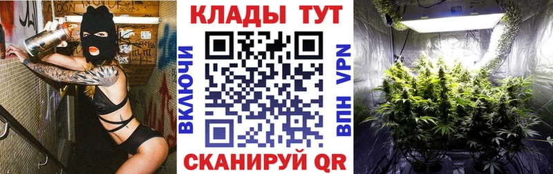 Купить наркотики сайты Лесозаводск мега как войти  Галлюциногенные грибы  Меф мяу мяу  Гашиш  Cocaine  Конопля  А ПВП 