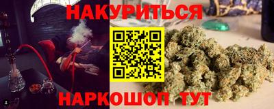 Альфа ПВП Гатчина