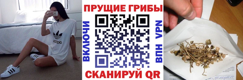 Псилоцибиновые грибы мицелий  где купить наркоту  Лесозаводск 