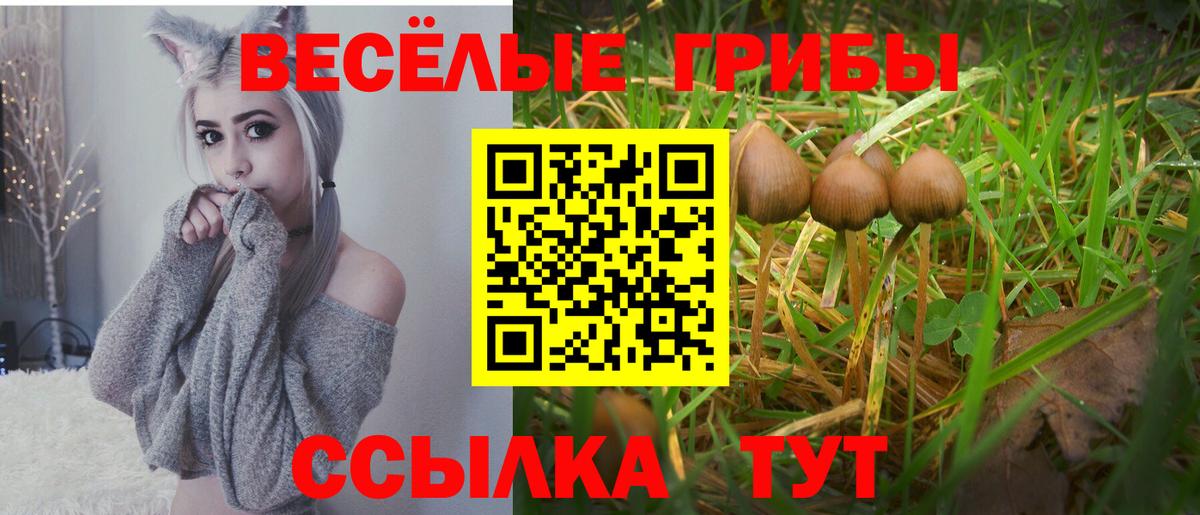 Псилоцибиновые грибы ЛСД Лесозаводск
